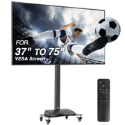 AVLT Motorized TV Lift Floor Rolling Stand - Black